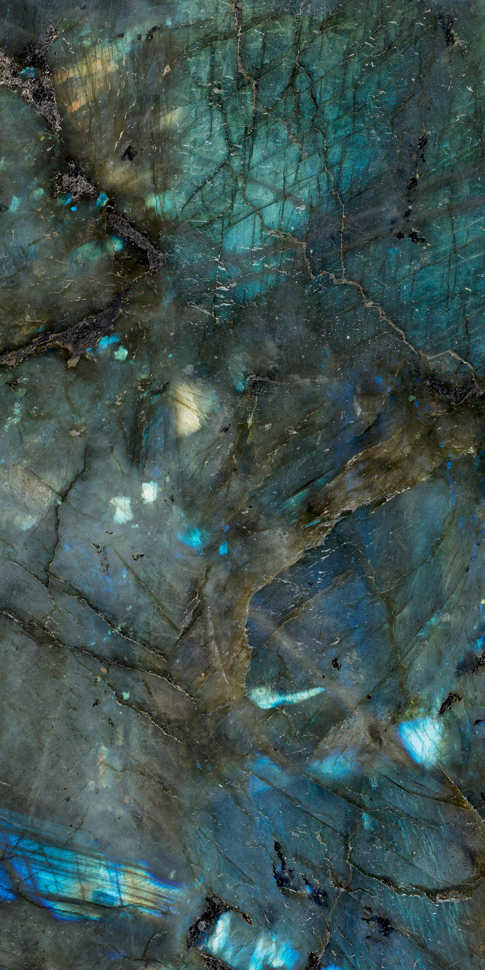 Gallery of Decorative Panels - Stardust - 5