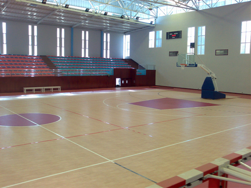Gymfit Wood 44