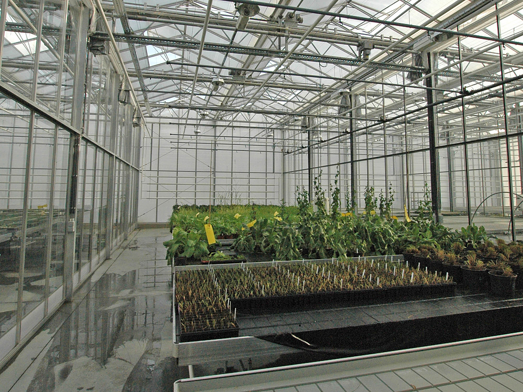 Venlo Greenhouse in ILVO Belgium from Deforche Construction Group
