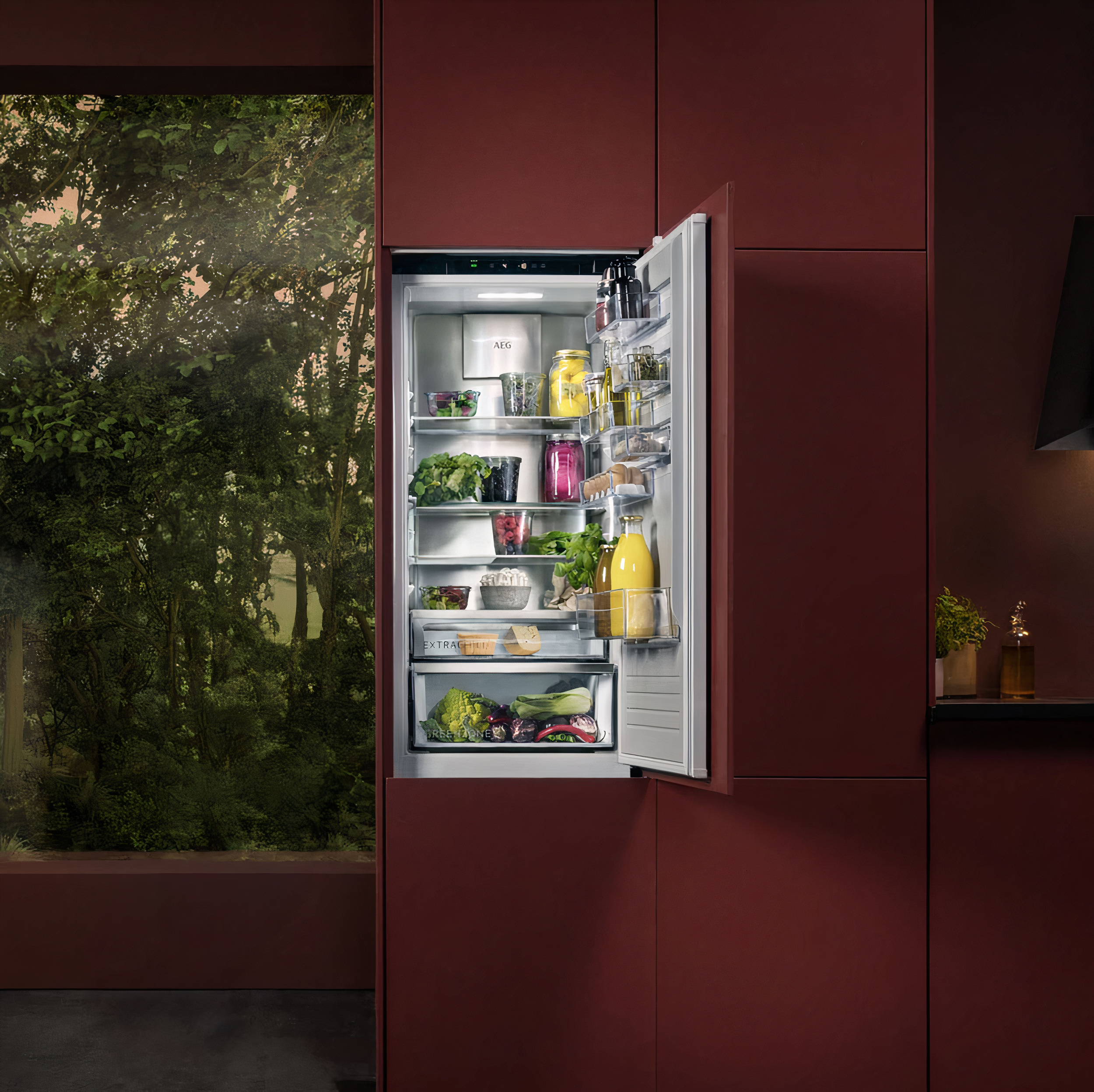 Gallery of Kitchen Appliances AEG EcoLine 2