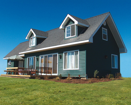 Vinyl Siding Oscuro