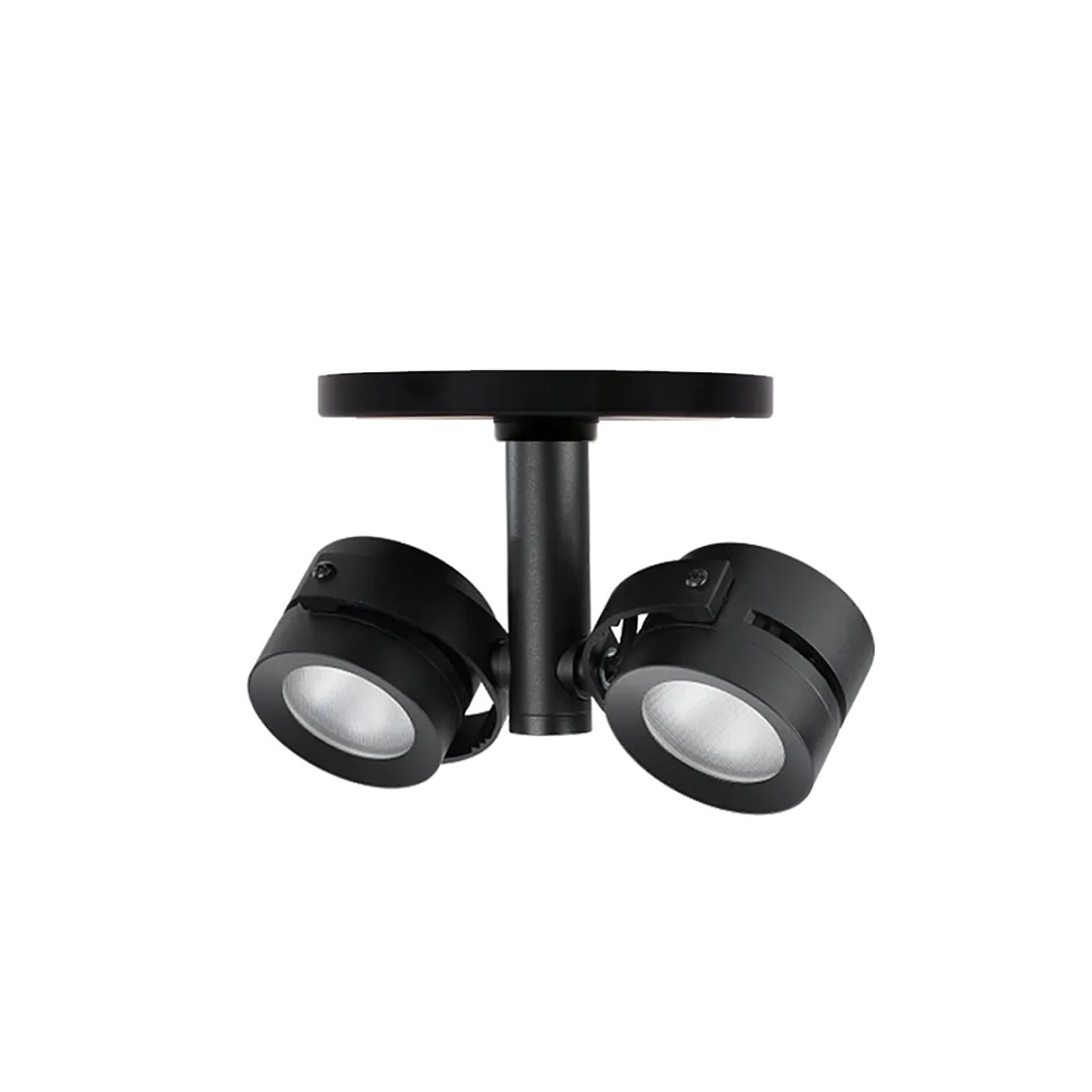 Adjustable Dual-Head Monopoint LED Light from Alcon Lighting®