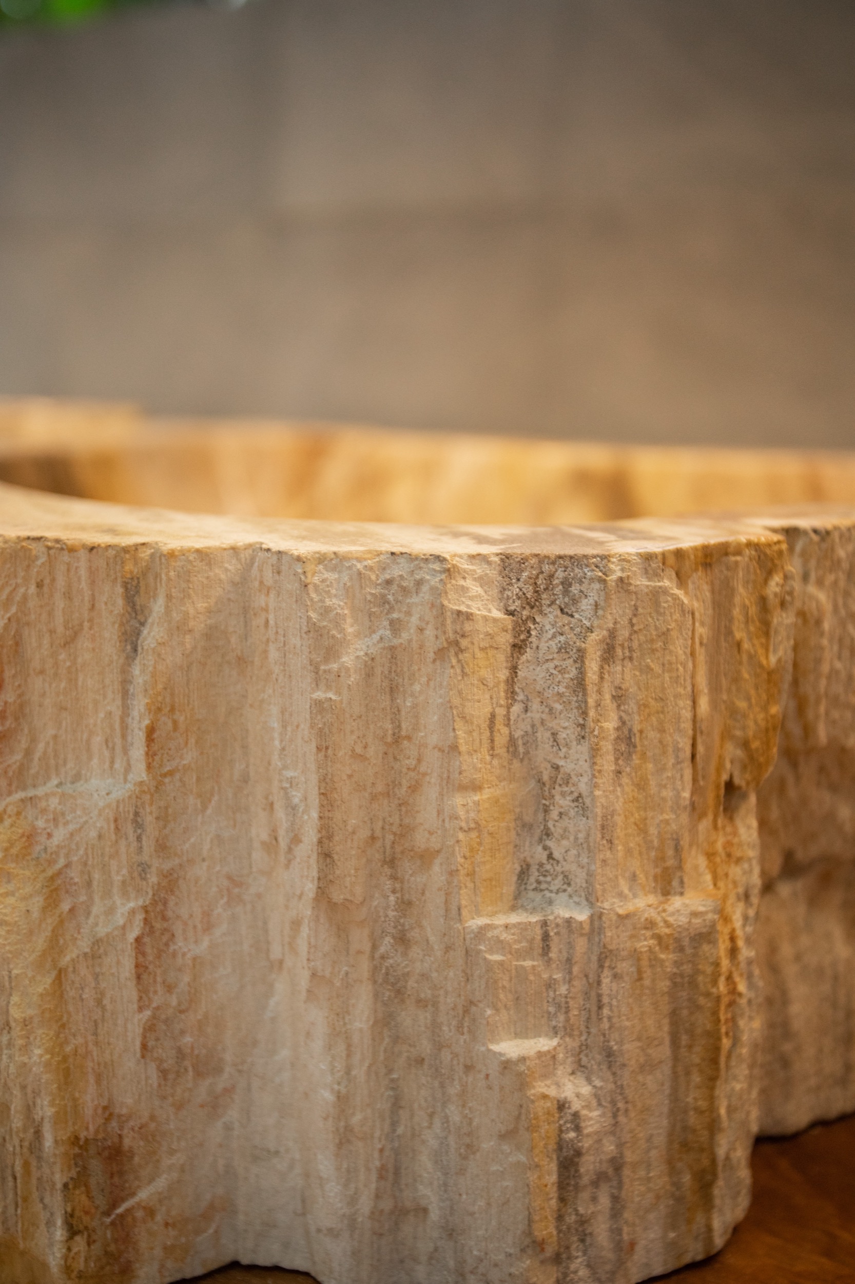 Galeria de Ovalín de madera petrificada 8