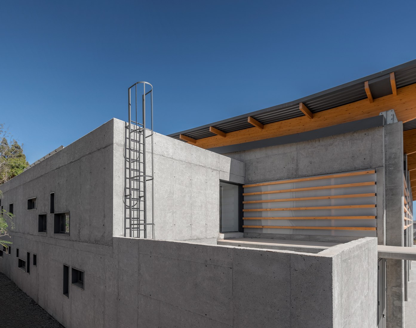 Gallery of Laminated Timber Beam Structure in Sports Center - 5