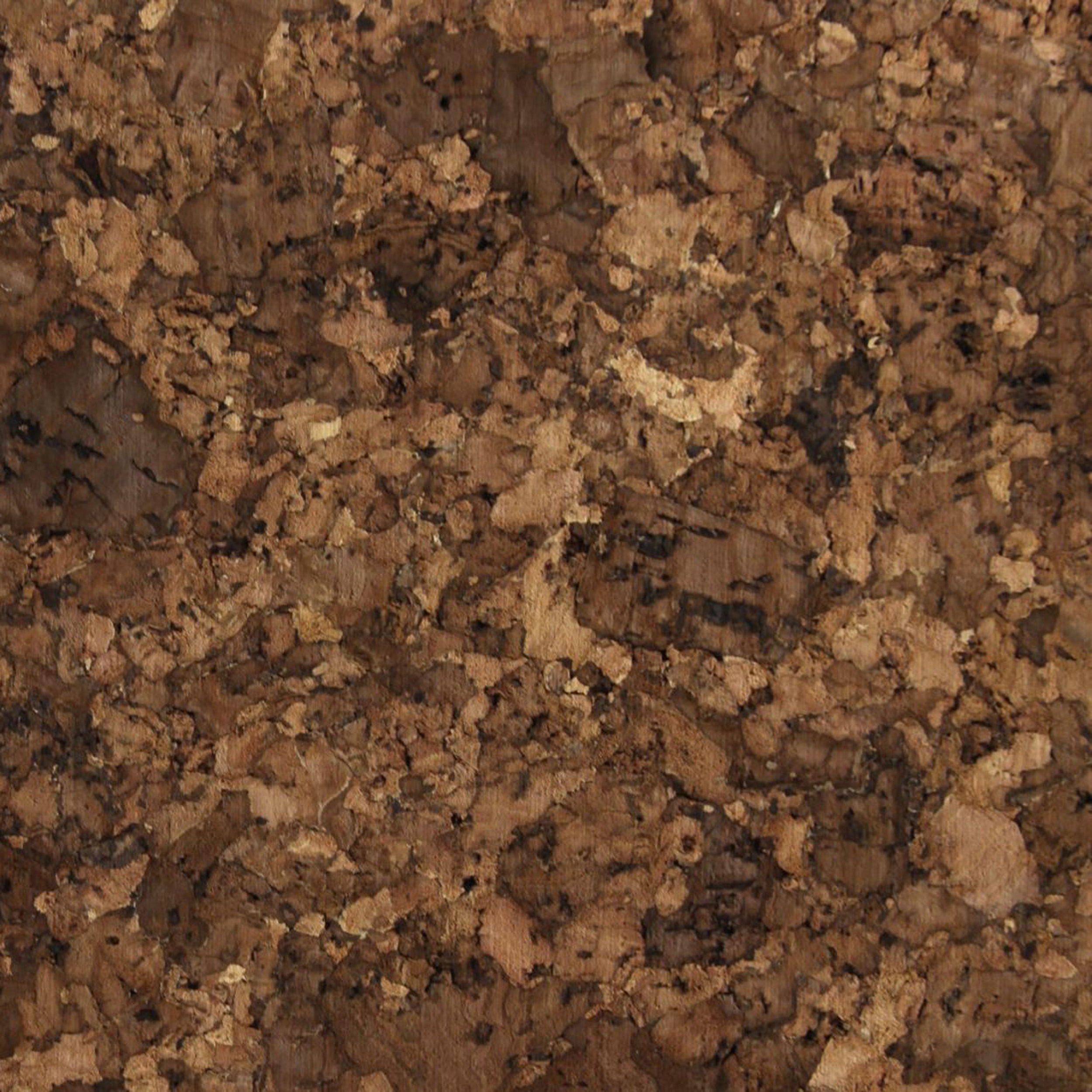 Gallery of Interior Cork Cladding - 5