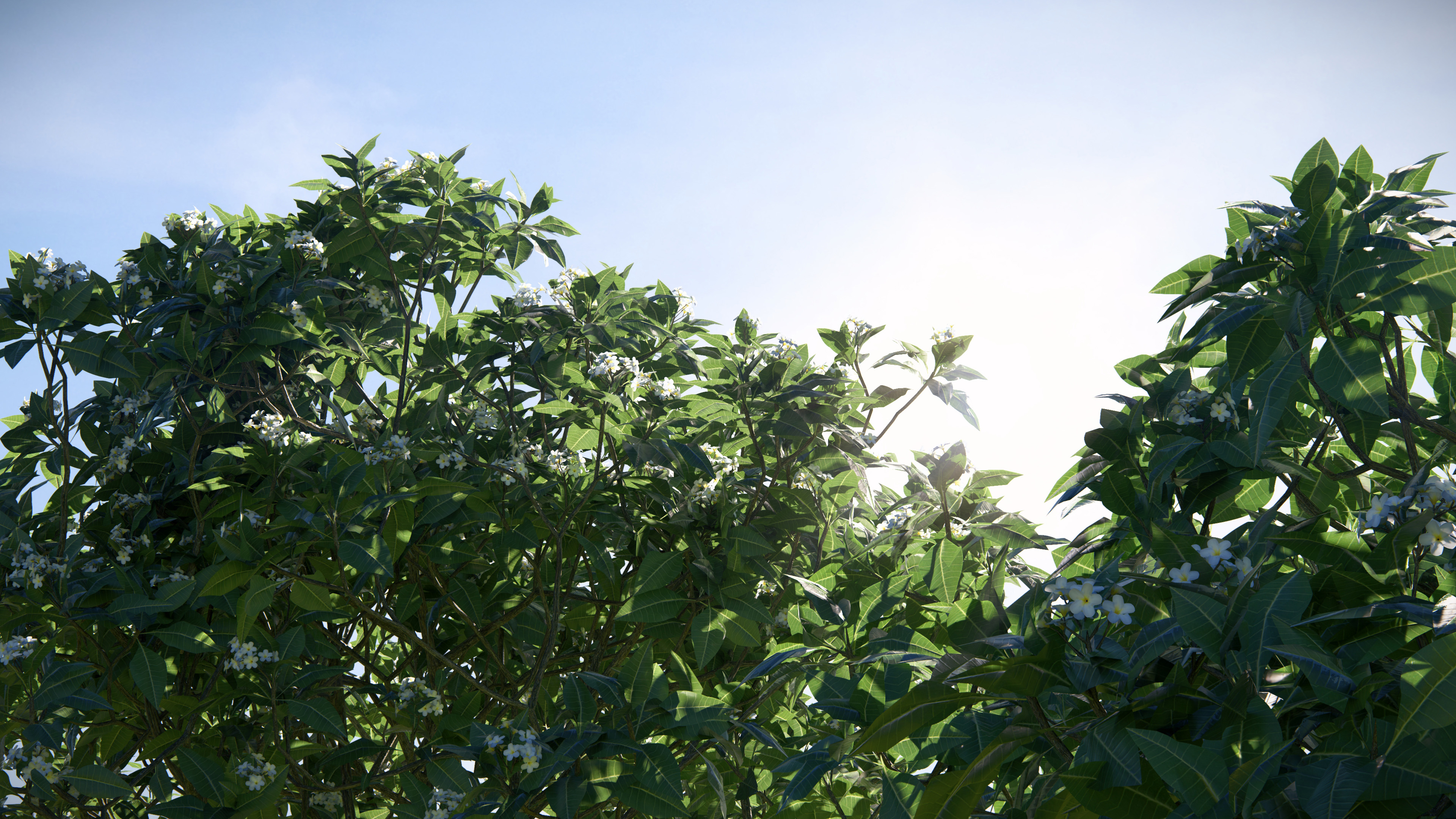 Gallery of How to Create Realistic Landscape Renders - 5