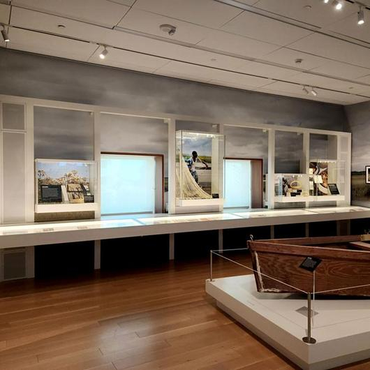 Zone Display Case System Zone Display Cases catalog | ArchDaily