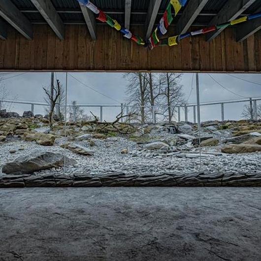 Snow Leopard Enclosure, Chester Zoo, UK / Pilkington