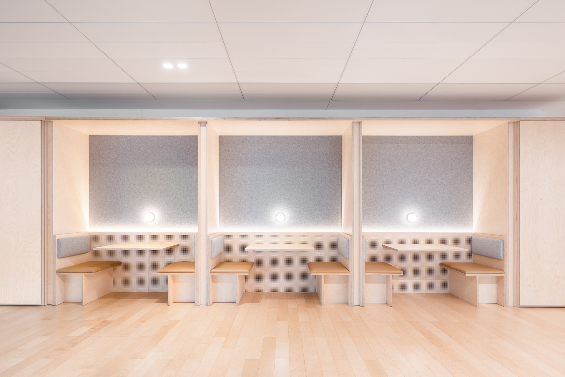 Gallery of Plywood - DESIGNER PLY Perforated - 2