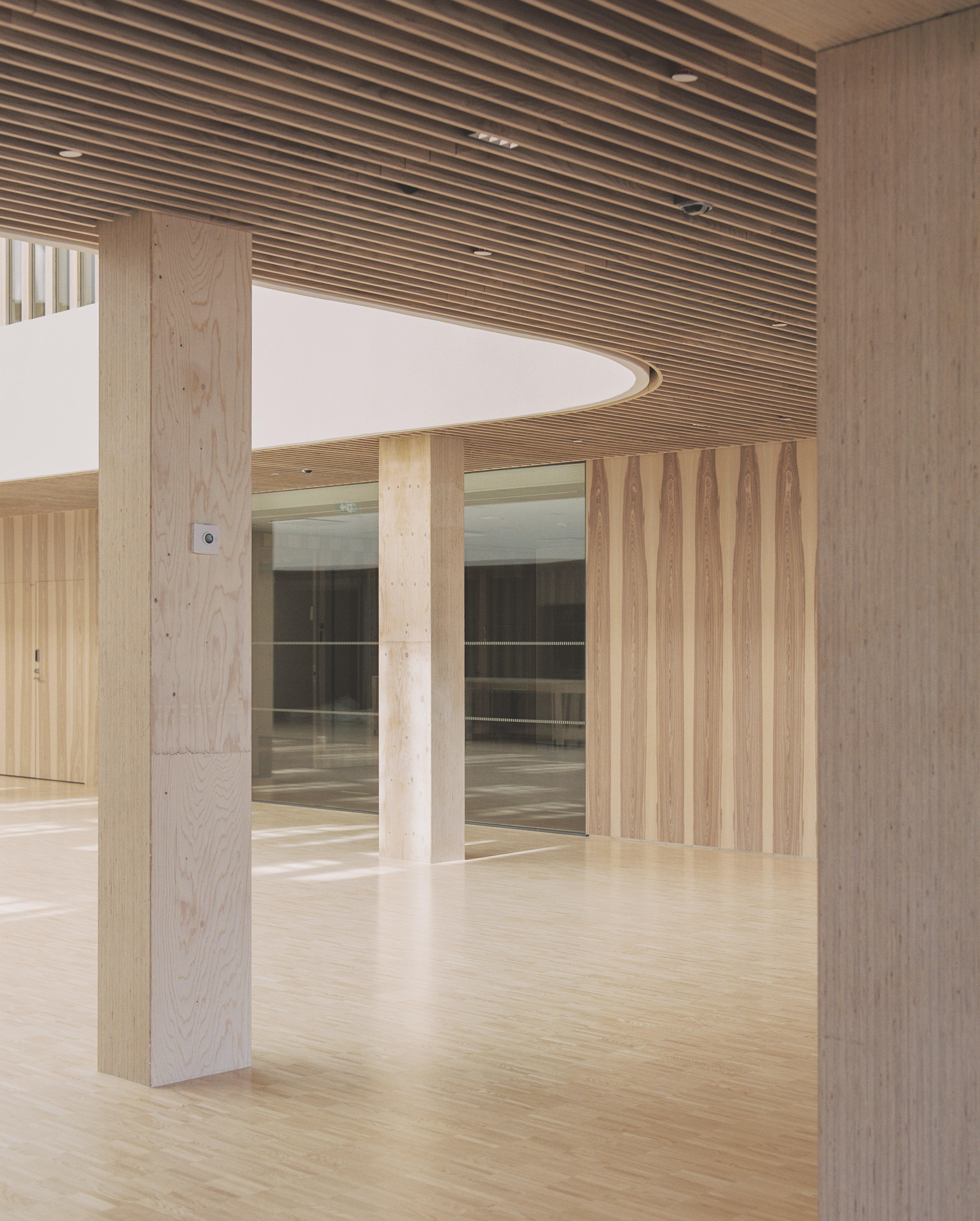 Gallery of Sylva™ GLT and LVL Beams and Columns - 7