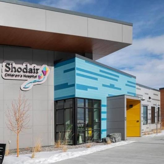 Facade Cladding at Shodair Children's Hospital / Longboard®