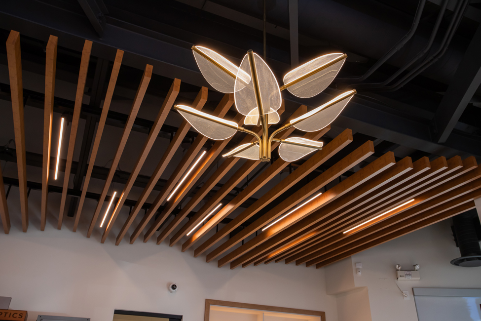 Gallery of Metal Ceilings - Dauntless - 2