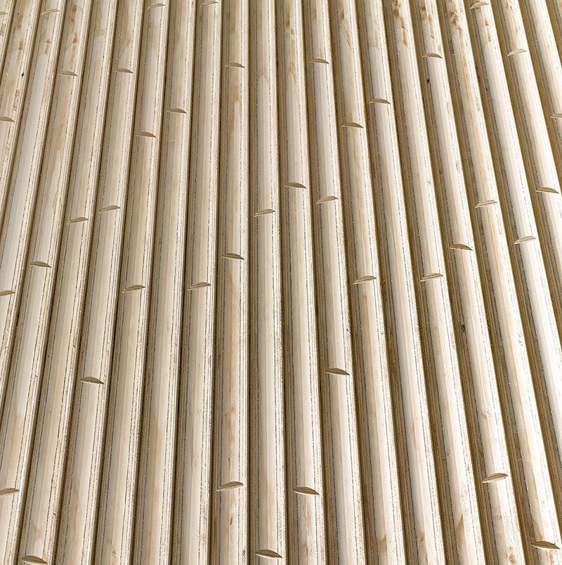 Gallery of Decorative Panels | Panelate Nature - 2