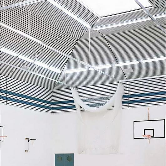 Ceiling Panels | Sport Panel / DAMPA