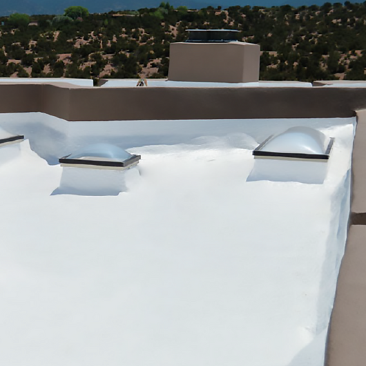 Roof Coating: Imper PU Leakproof