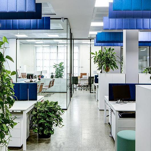 Thermoformed Desk Acoustic Panel - ECOdesk