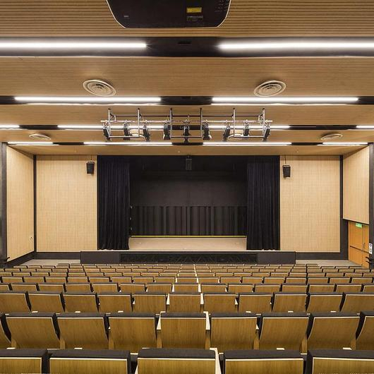 Revestimientos acústicos en Auditorio Alianza Francesa / Masisa®