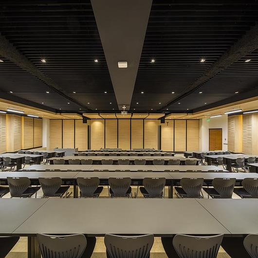 Panel Acústico en auditorio de la PUC / Masisa®