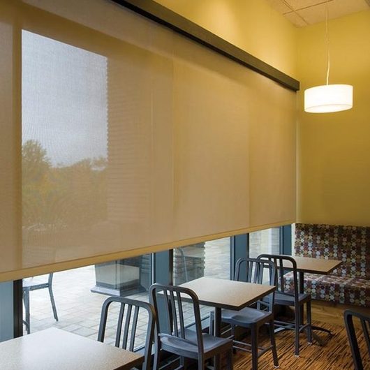 Shades - Motorized Solar Shades by SWFcontract from Springs Window Fashions