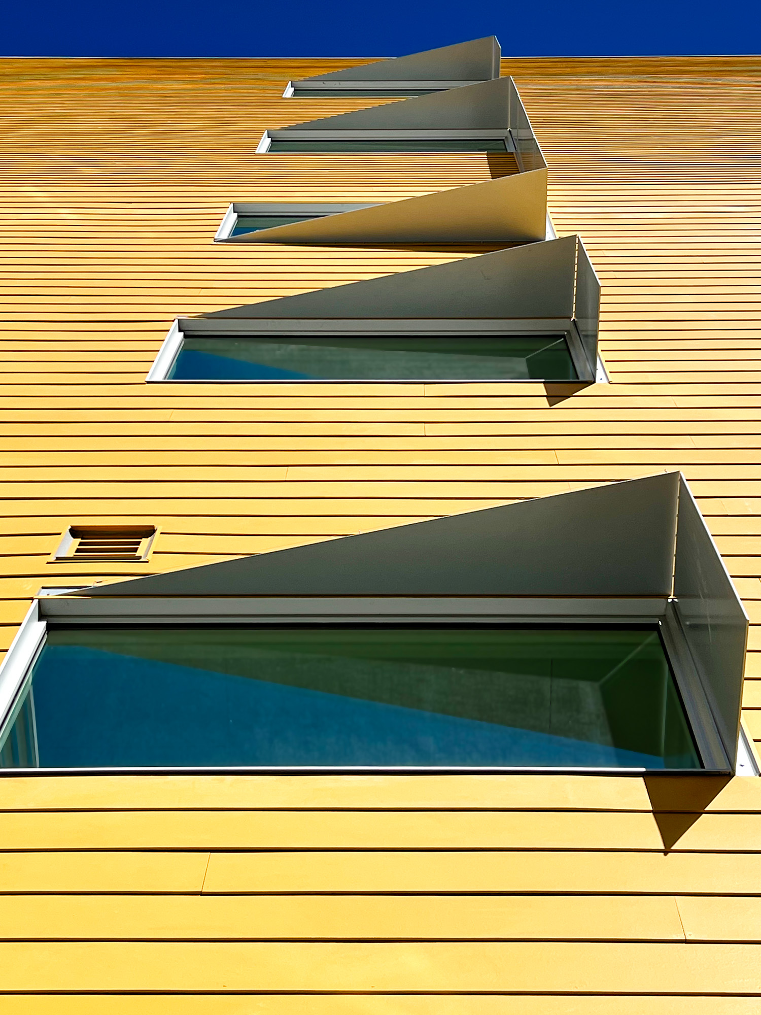 Gallery of Sunshade - 7