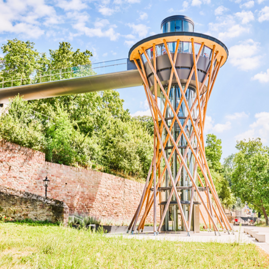 Laminated Glazing - BirdSecure® Pro