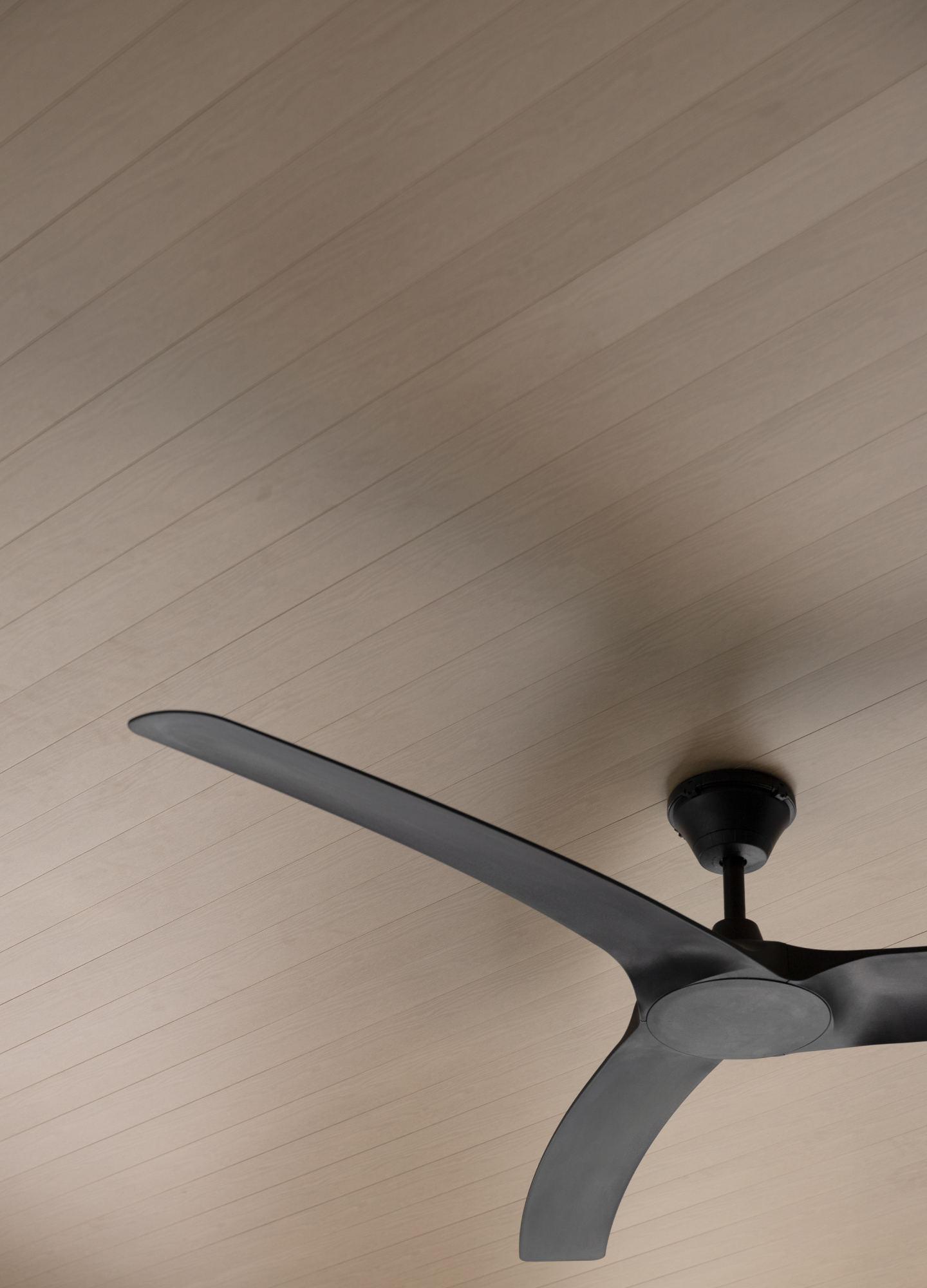 Gallery of Ceilings - 7