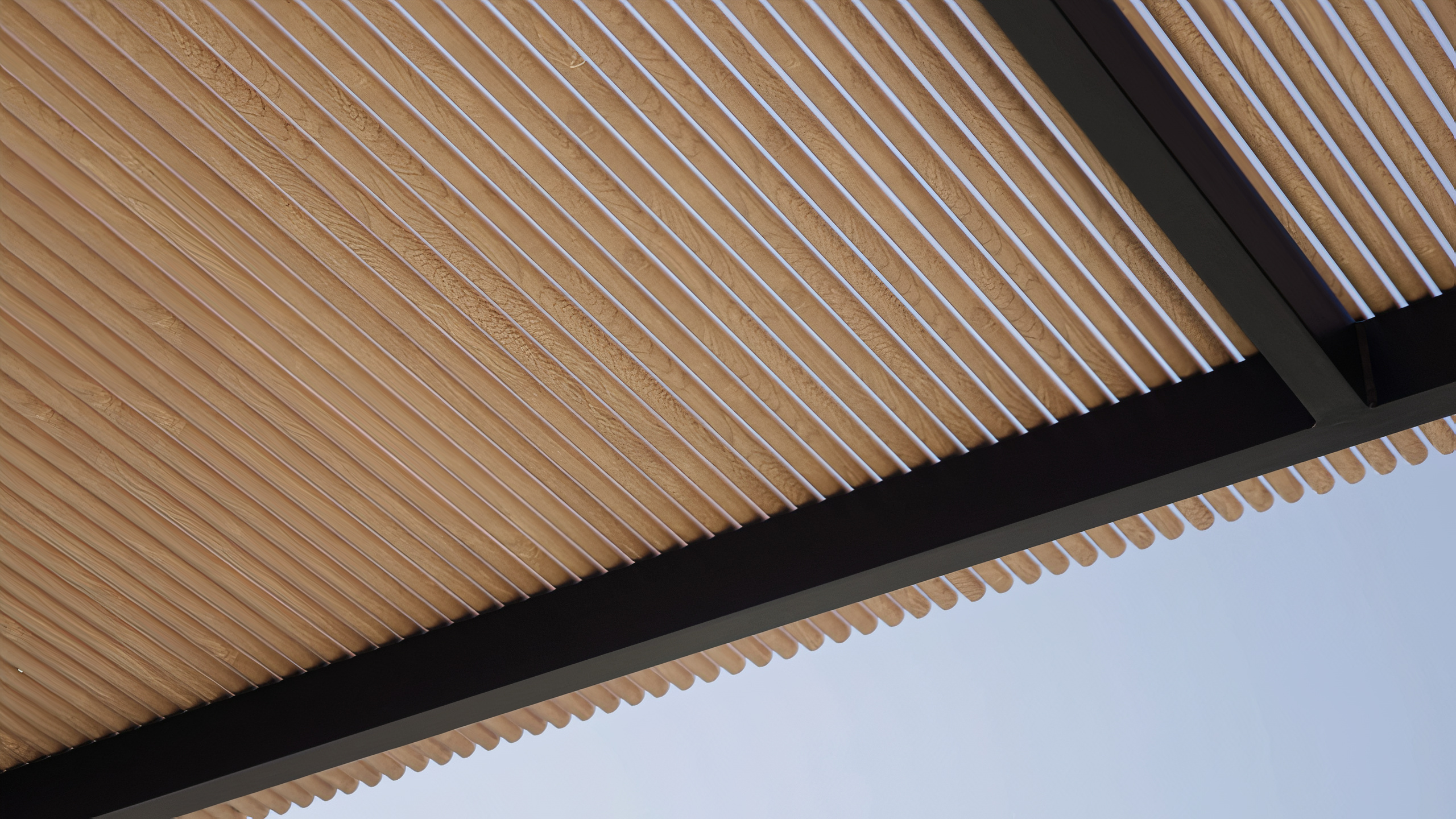 Gallery of Shading - 7