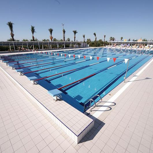 Porcelain Pool Tiles - Olympic Series