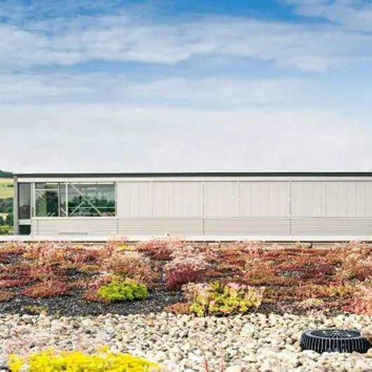 Roof Drainage Solutions in an Arnsberg Green Roof / Dallmer
