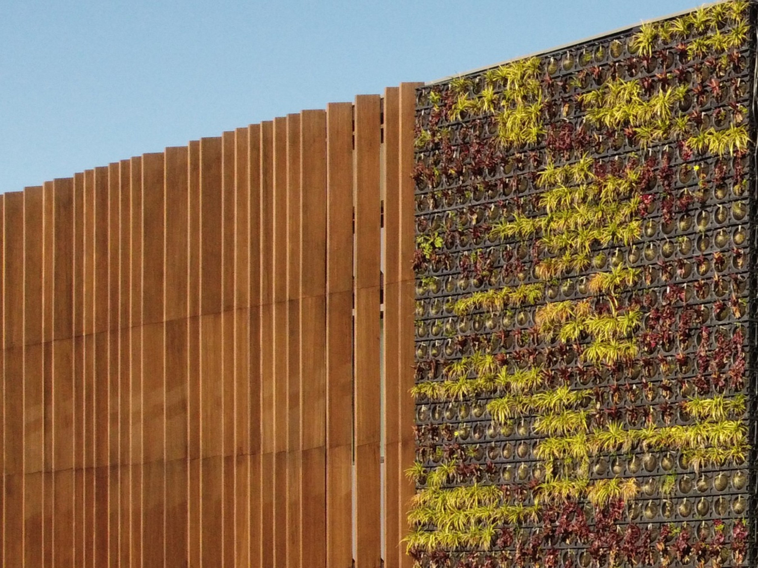 Gallery of Bamboo Beams at Bosch Portugal Offices - 1