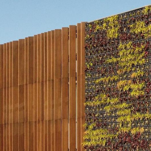 Bamboo Beams at Bosch Portugal Offices / MOSO® Bamboo
