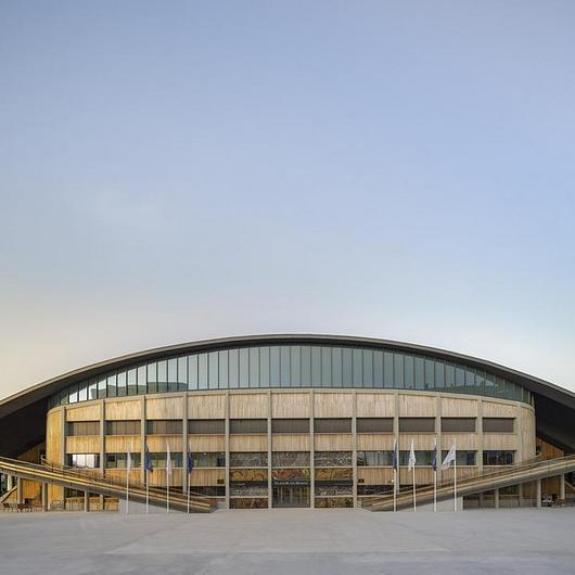 Chestnut Wood Cladding in Oviedo Sports Palace / Siero Lam