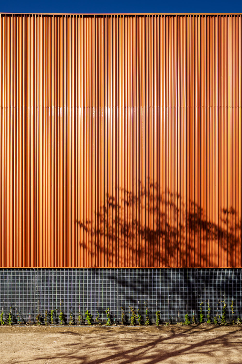 Gallery of Entropía Façade at Toledo Gymnastics Pavilion - 9