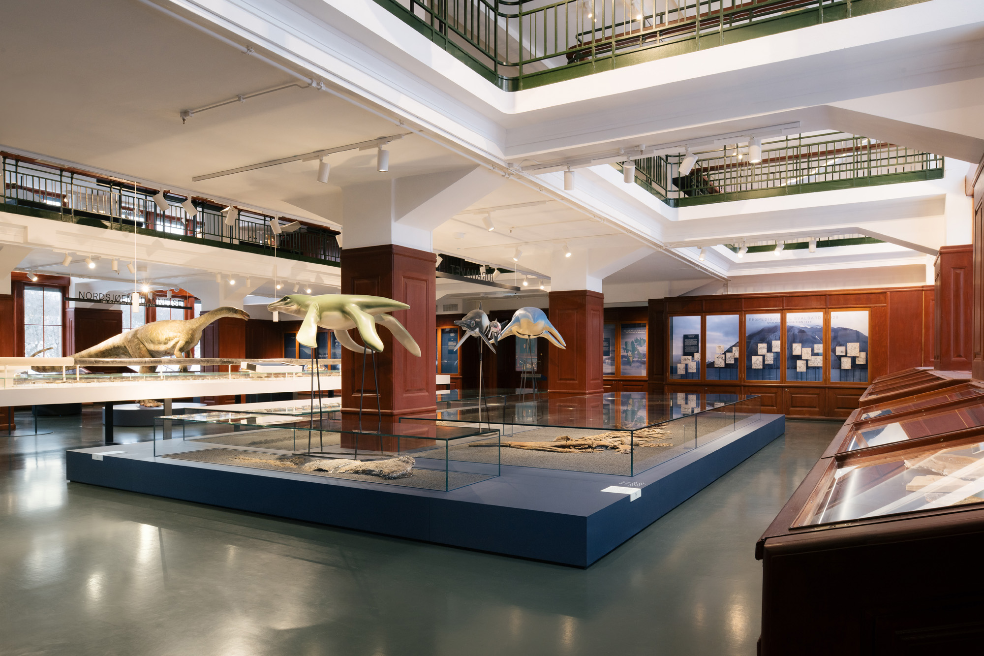 Gallery of Custom-Made Interiors in Natural History Museum Oslo - 1