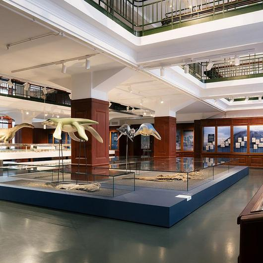 Custom-Made Interiors in Natural History Museum Oslo from barth