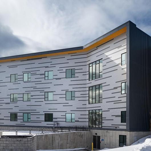 Facade Cladding at Shodair Children's Hospital / Longboard®