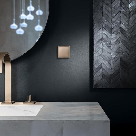 Switch Surface - Brushed Bronze / JUNG