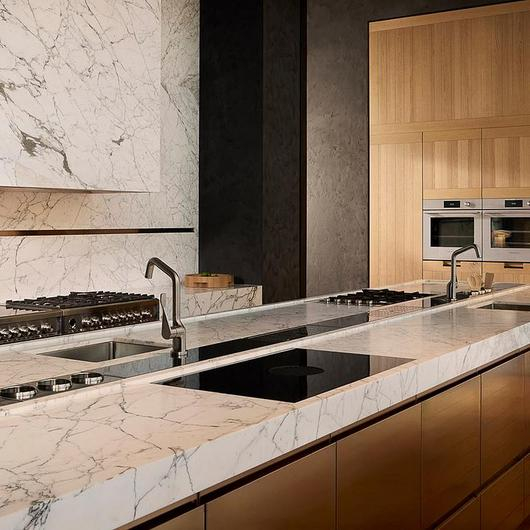 Contemporary Ovens / Fisher & Paykel