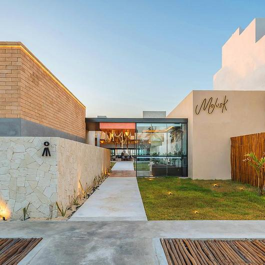 Mortero arquitectónico en Molusk / Kimikolor
