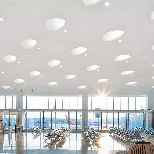 Ensemble® Acoustical Drywall Ceiling / USG