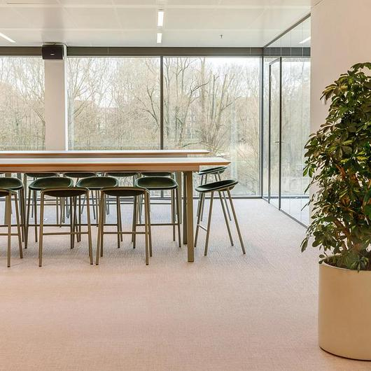 Premium Woven Flooring in Rembrandt Park Offices / ntgrate