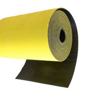 Lamina acustica Lamina acustica