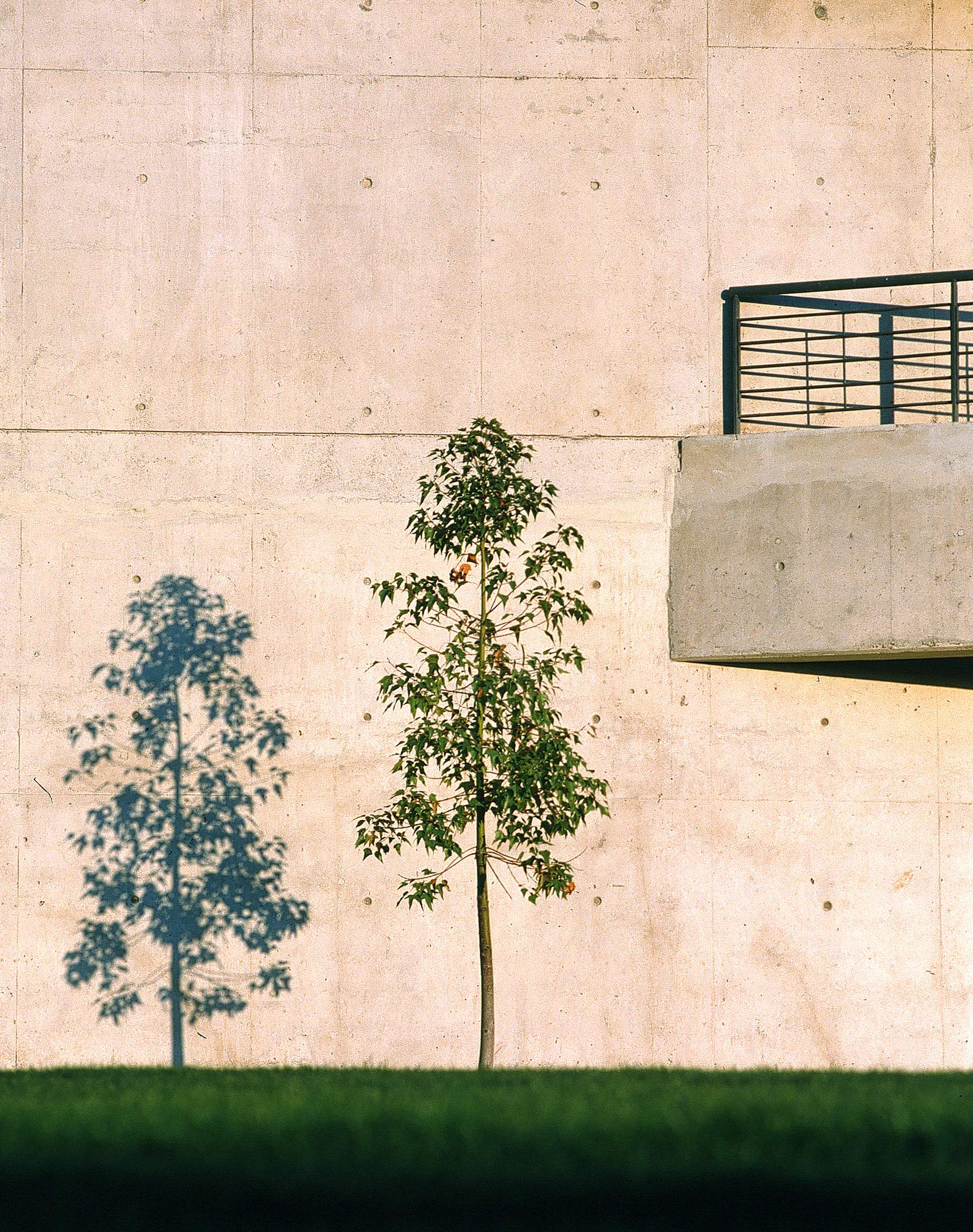 Galeria de Hormigón pigmentado - ColorCret - 2