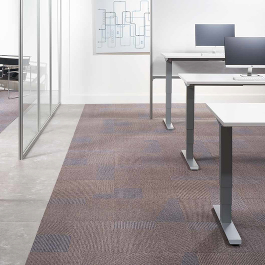 Galeria de Alfombras Moraine de Milliken 11