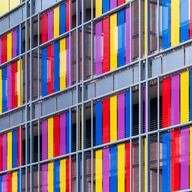 Daily wire Daily wire