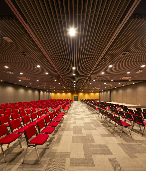 Cielo Baffle de Hunter Douglas